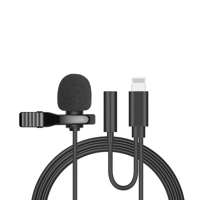 Lavalier Live Mini Microphone Recording Device Little Bee for iPhone iPad Xiaomi Android Smartphone DSLR Camera PC Notebook: GRAY