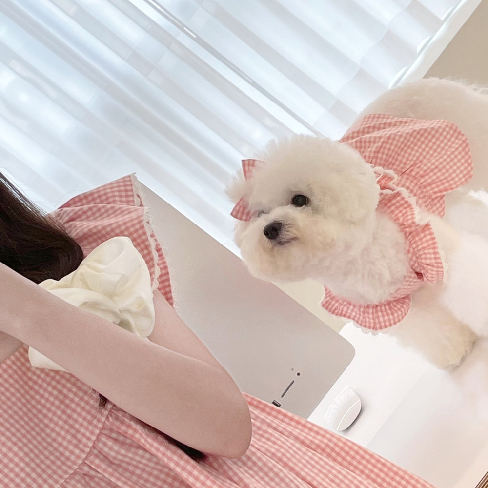 GULULU Sommer Hund Kleid Plaid Spitze Welpen Kleidung für Kleine Hunde Mädchen Rosa Felsen Katze Outfit Haustier Zubehör vestido perro 2022