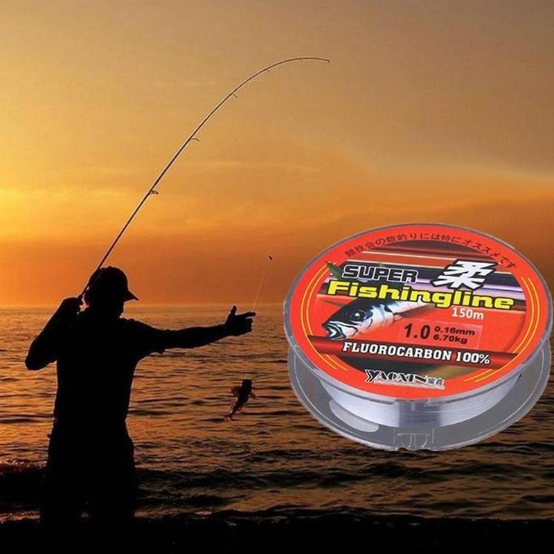 100% Fluorocarbon Duurzaam Coating Vislijn Monofilament Karper Lijn Mainline Leider Lijn Sinking Vissen Super Sterke Jap G4Y9