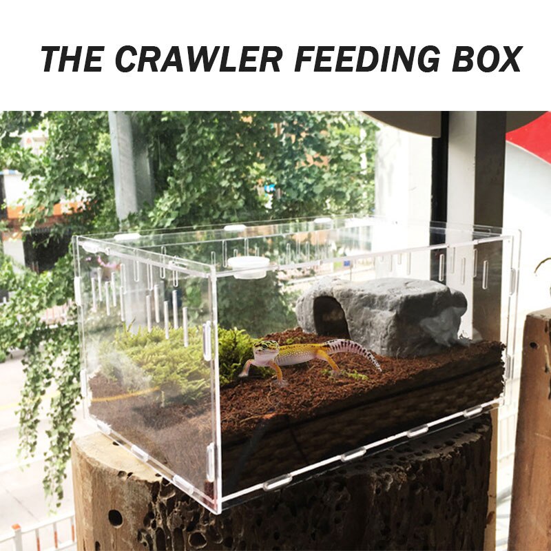 Reptile Terrarium Pet Box Pet Supplies Cold Blooded Animals Portable Practical Durable 30*20*15cm Acrylic Transparent