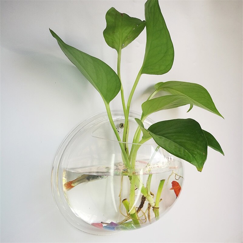 295*140mm Transparent Acrylic Fish Tank Wall Hanging Fish Bowl