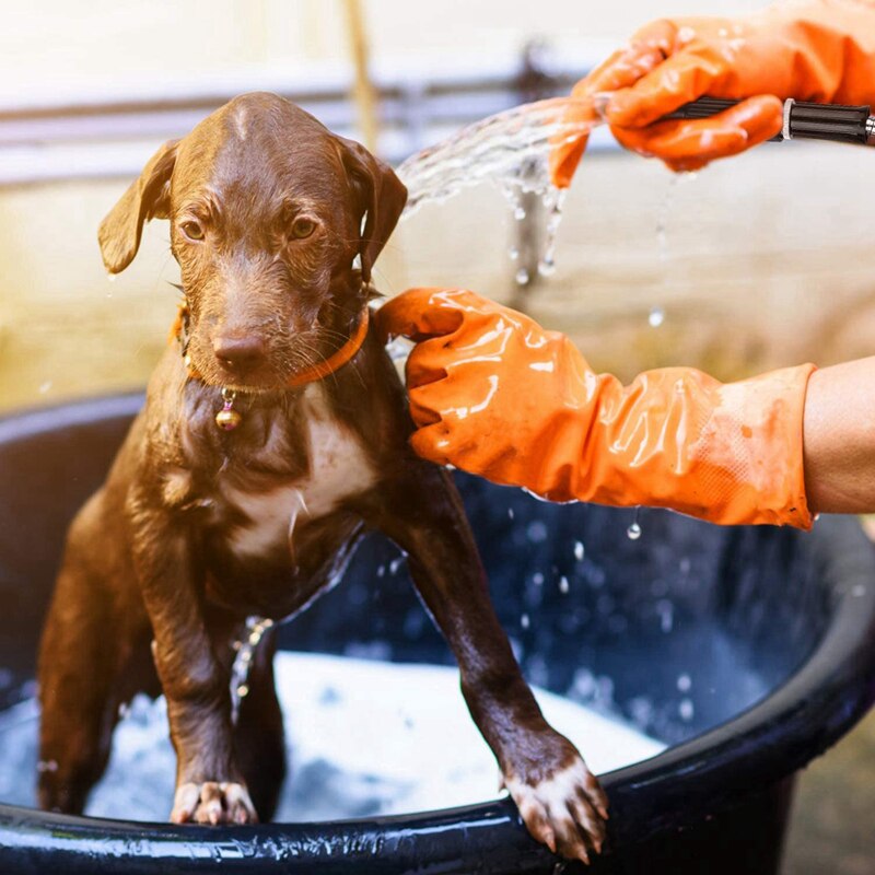 50FT Stainless Steel Garden Hose with Spray Nozzle Lightweight Kink Garden Water Hose