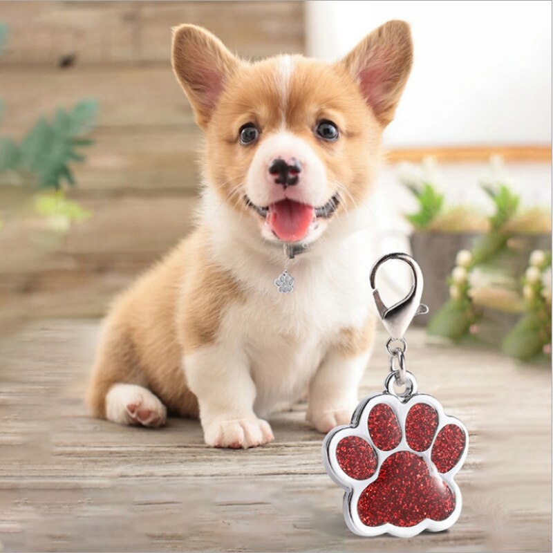 20 Stuks Pet Identificatie Tag Kat Halsband Accessoires Anti Verlies Gegraveerd Telefoon Naam Identificatie Tag Hangers
