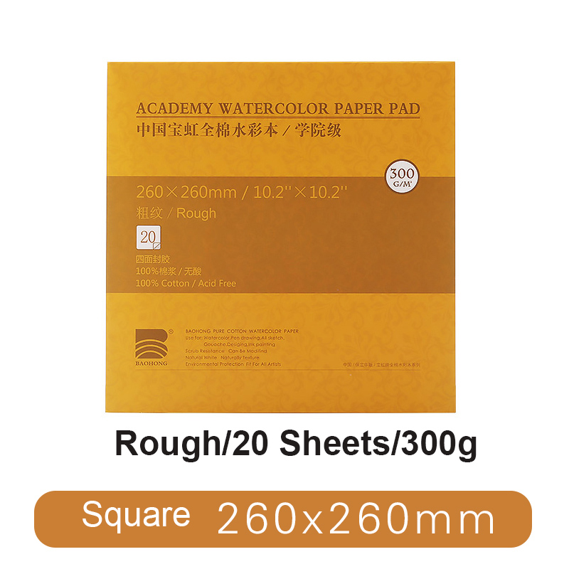 BAOHONG – papier aquarelle pour artistes, tampon texturé pour peinture, crayon, encre, charbon de bois, Pastel et acrylique, 20 feuilles 300 g/m², blanc: Square Academy Rough