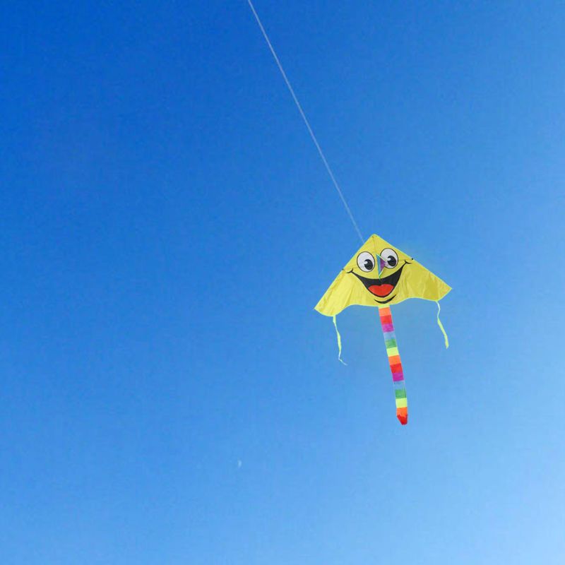 Cartoon Lachend Gezicht Kite Voor Kinderen Buitensporten Smiley Animatie Vliegende Vliegers