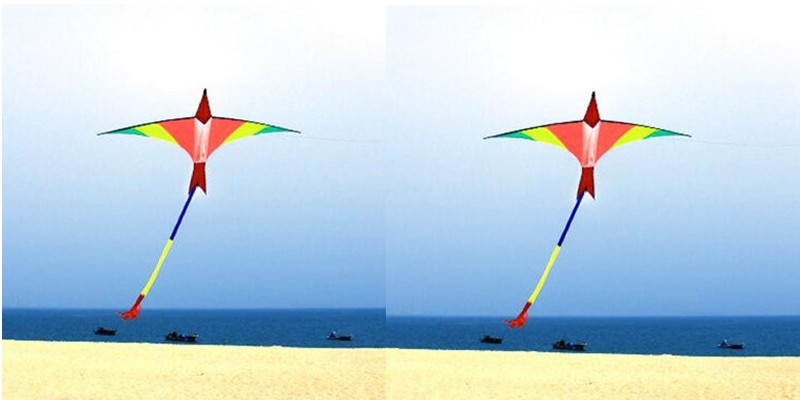, novedad, cometa Pájaro de Fuego suizo de 3m para adultos, cometa de flamenco, cometa ross, línea de kevlar, cometa de entrenamiento windshock 3d doos vlieger