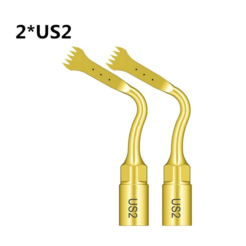 2 sztuk US2 końcówka chirurgii kości/dental piezo chirurgia wskazówka dla dzięcioł ULTRASURGERY,MECTRON PIEZOSURGERY produkty instrumenty