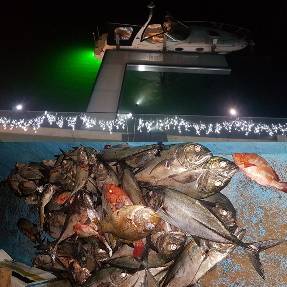 Luz de pesca de 12V, 108 Uds., 2835 LED, luz de pesca subacuática IP68, señuelos, lámpara buscador de peces, atraer gambas, calamar y Krill (4 colores)