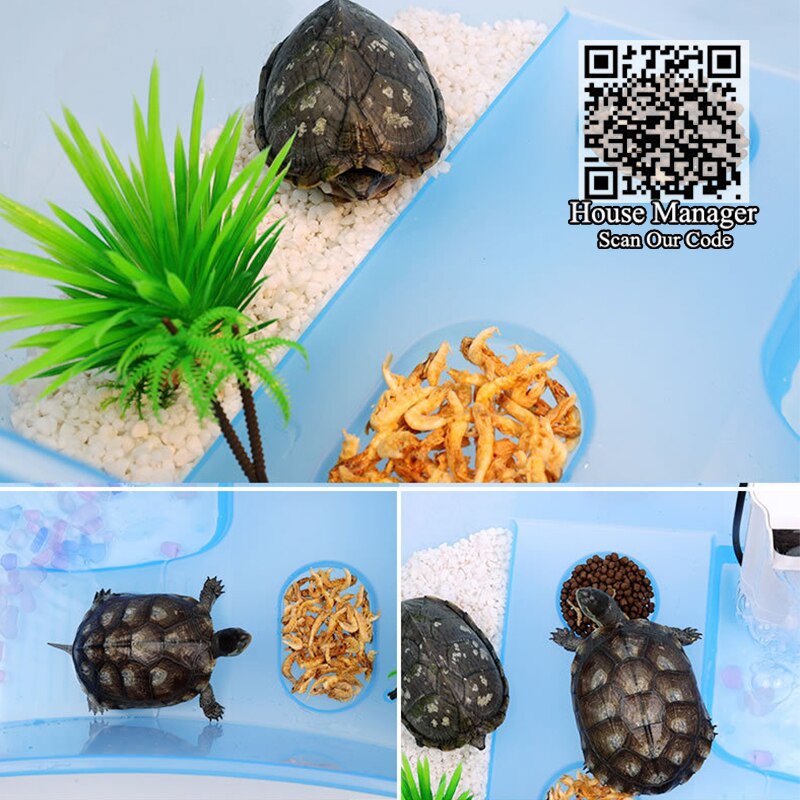 Small 25x17x11cm Turtle Tortoise Habitat House, 4 areas = Swim + Climb + Feed + Rest Bask with light, mini Aquarium Turtle Tank