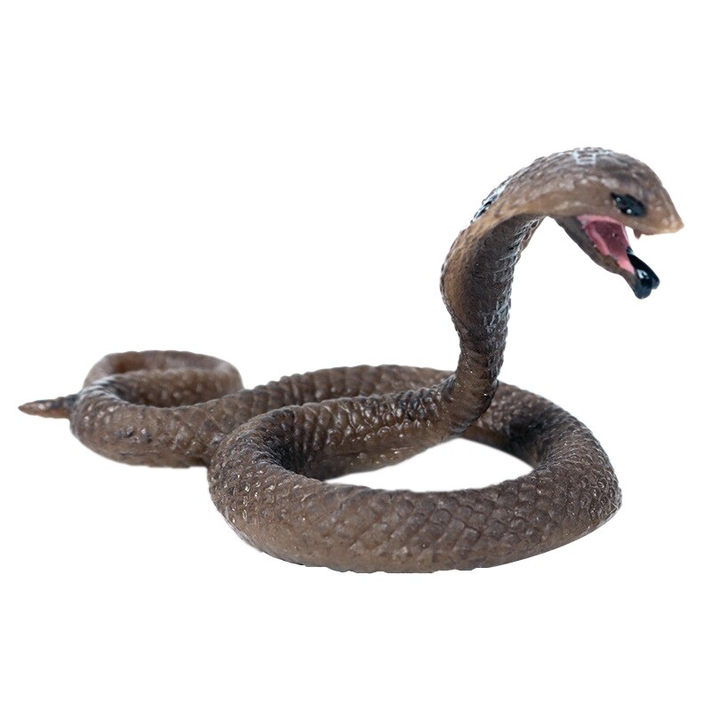 Solid simulering dyreliv slange legetøj king cobra lille cobra model amfibie krybdyr dekoration: Default Title