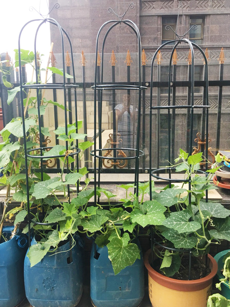 Klim Prieel Chinese Rose Clematis Lotus Buiten Kolom Vorm Europese Stijl Bloem Rack Pot Gedragen Bloem Ondersteuning Frame Indoor