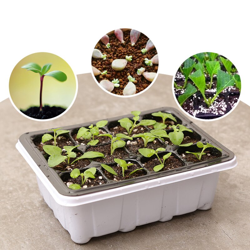 Seed Trays Seedling Gardening Germination Tray Plant Grow Kit for Seeds Growing Starting