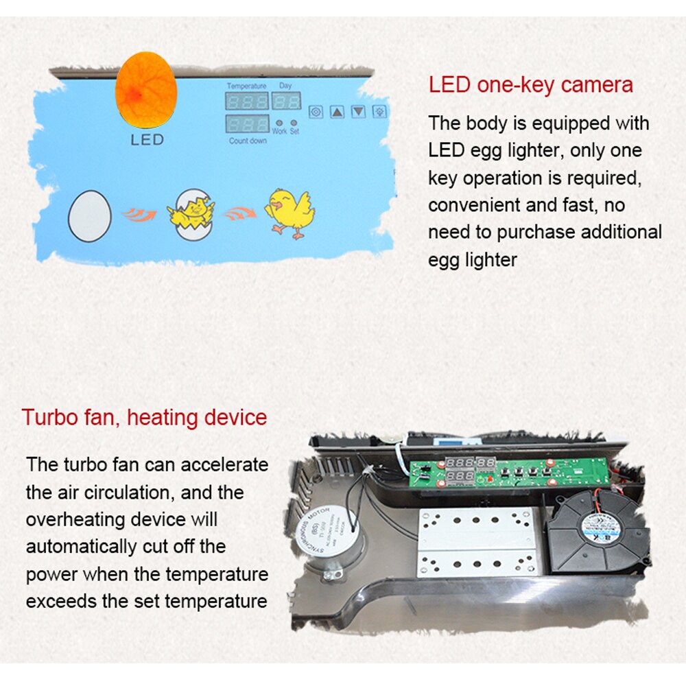 Couveuse de 12 oeufs entièrement automatique d'incubateur de ménage avec le plateau multifonctionnel d'oeufs d'essai de LED avec l'espace réglable