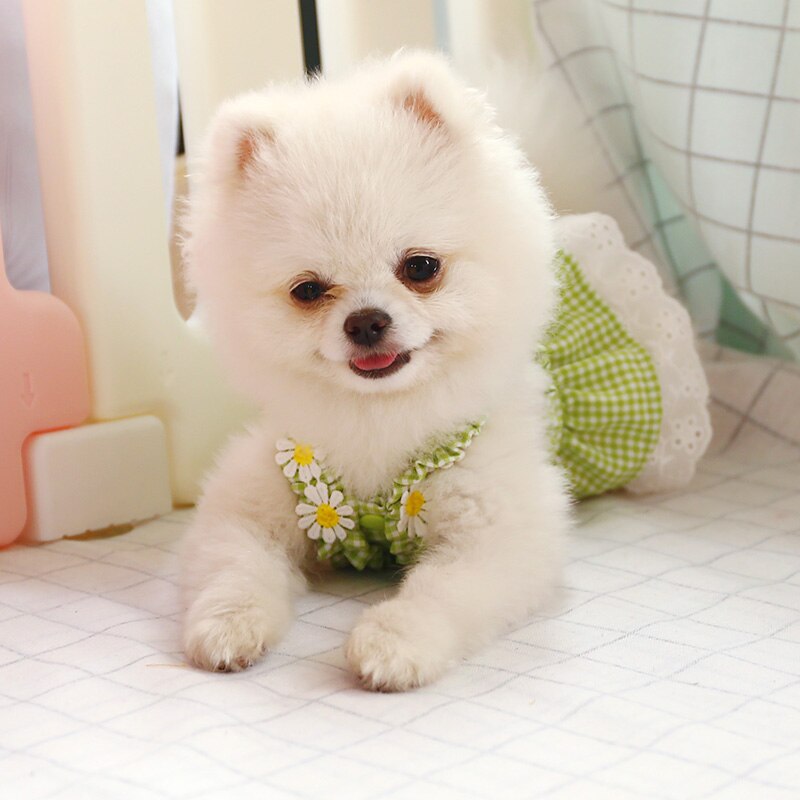 Summer Dog Dress Plaid Clothes For Small Dog Party Dog Skirt Puppy Flower Lace 3 Color XS S M L XL