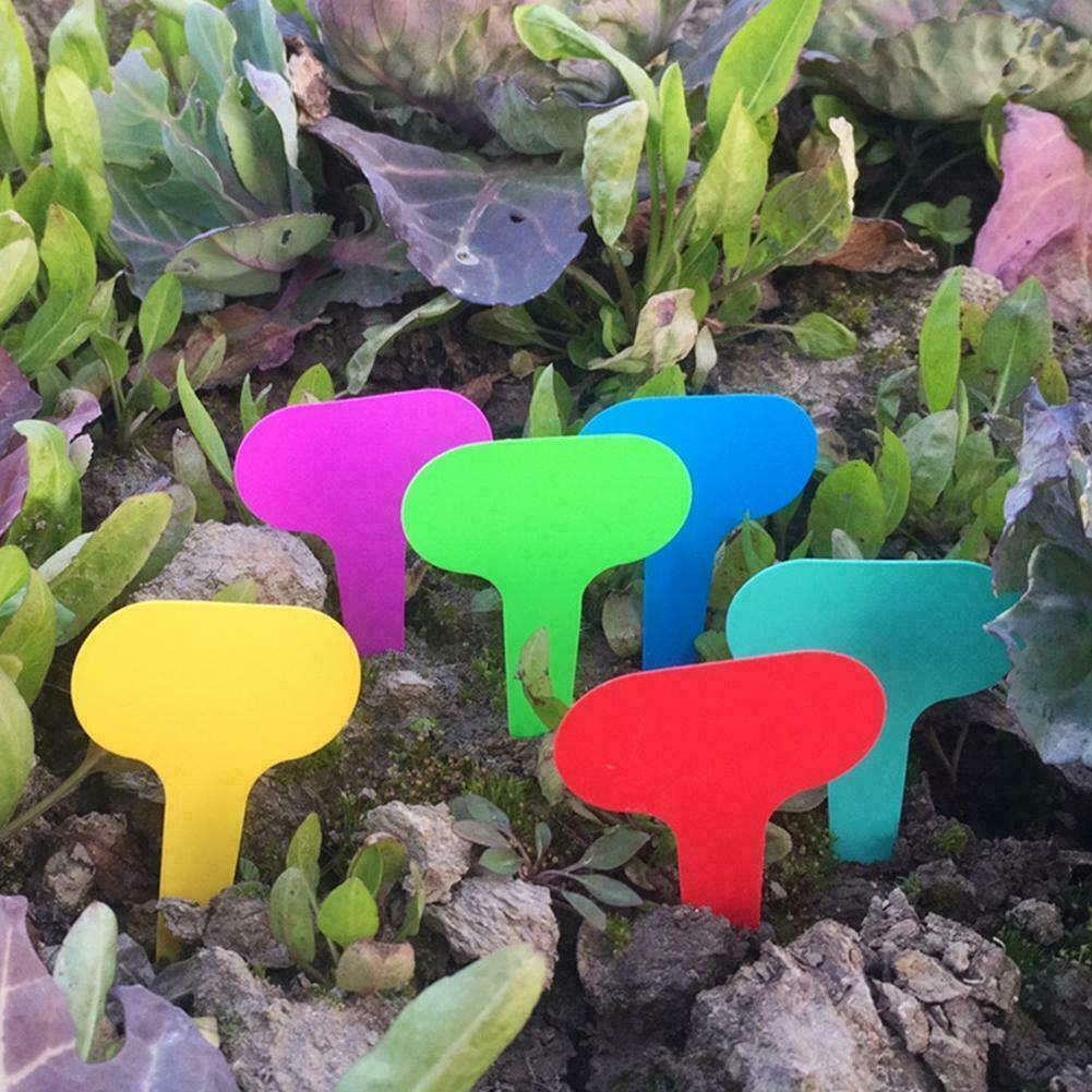 100Pcs Plant Labels 7 Colours Garden Stakes Markers Tags Waterproof Re-Usable Markers Flower Vegetables Potted Sign Stakes