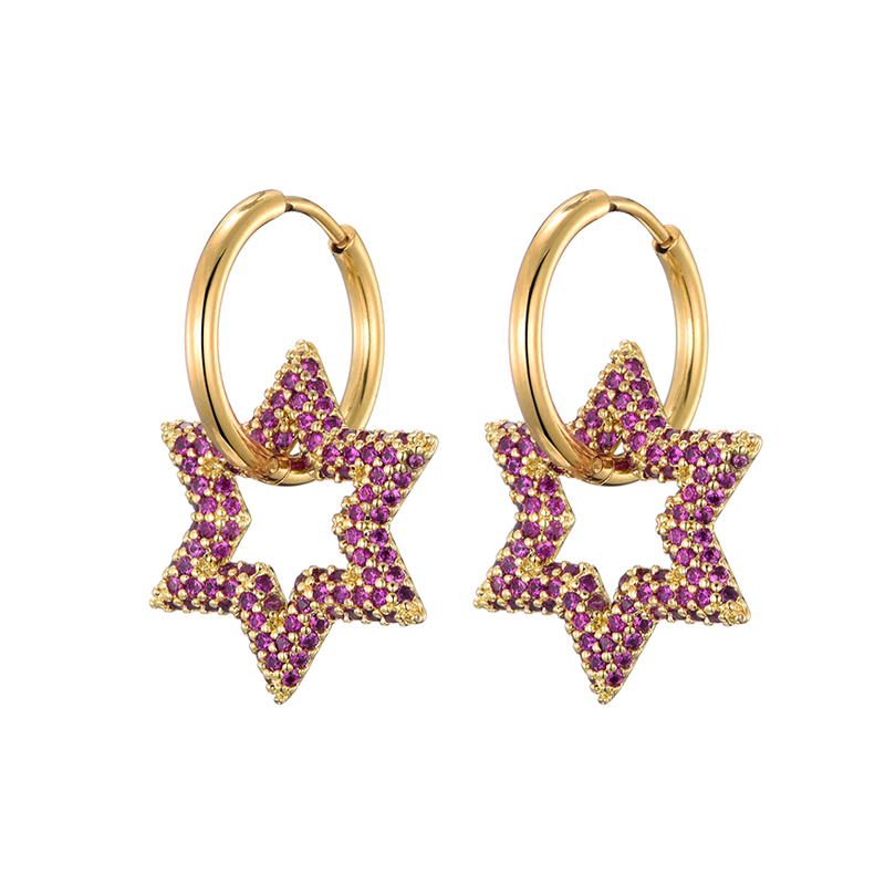 Lovbeafas Ster Ronde Roestvrijstalen Oorringen Voor Vrouwen Zirkonia Geometrische Gouden Kleur Bruiloft Elegante Sieraden: Silver Plated