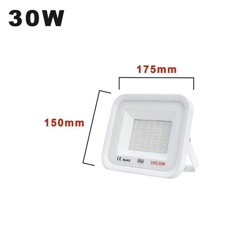 AC220V LED FloodLight 20W 30W 50W 100W Ip66 Waterproof Outdoor LED Flood Lights Spotlight Warm White For Billboard Stadium Park: 30W / White