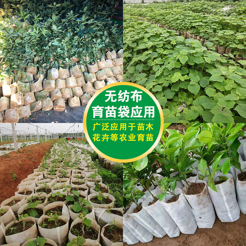 100PCS Nursery Plant Grow Bags Biodegradable Nonwoven Fabric Growing Planter Planting Pots Garden Eco-Friendly Ventilate Bag