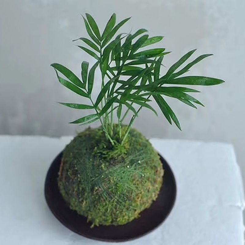 Moss Ball Pot Bird Nest Flower Plant Home Office Desk Table Garden DIY Decoration