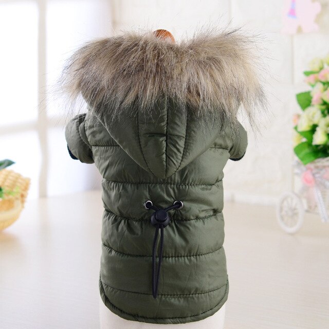 Middelgrote En Kleine Hooded Kleding Zachte Bont Kap Puppy Clothingwinter Warme Hond Jas Down Katoen Gewatteerde Jas: green / L