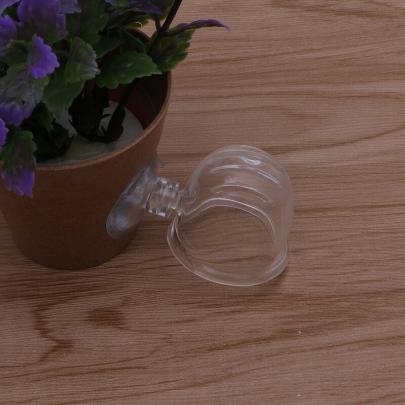 Hogar Paradies Besser 1pc Glas Topf Anlage Schnittfuge Tasse Halfter Garnelen Aquarium Aquarium Wasser Zubringer Neue