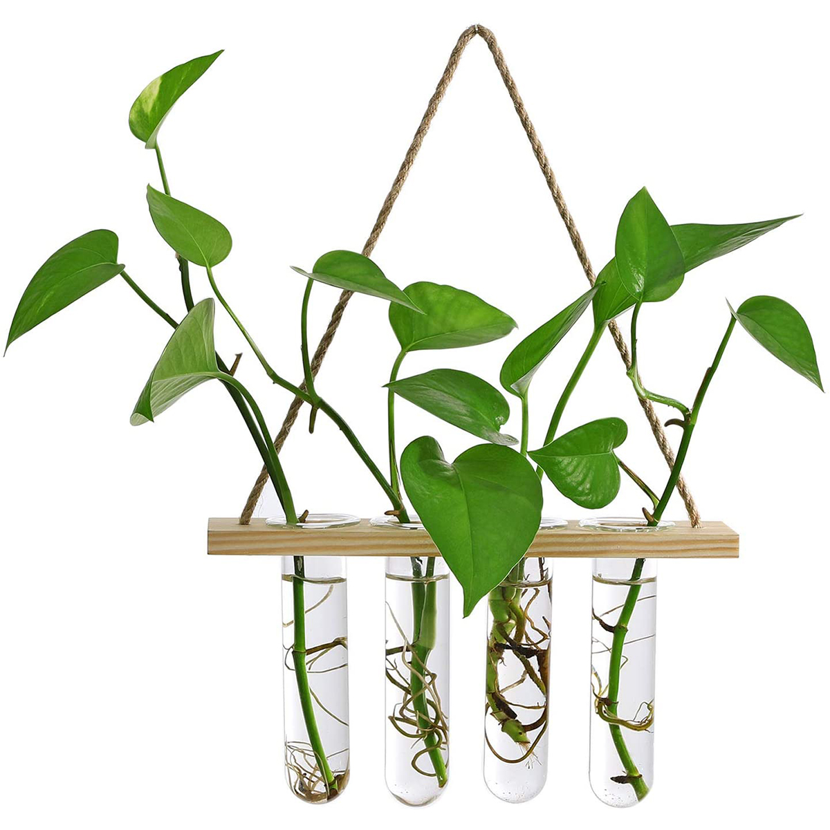 Ins – jardinière murale en verre, Terrarium, Vase avec support de Tube à essai en bois pour la Propagation de plantes hydroponiques: Single layer Wood