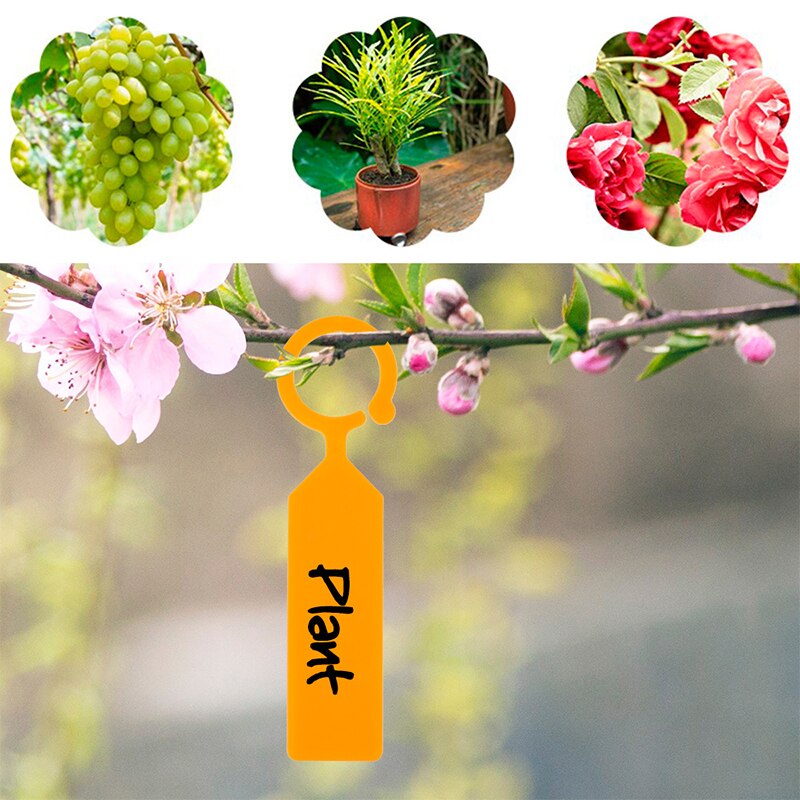 100Stck Hängen markieren Ring Etikett Kunststoff Dicken Wasserdicht Anlage markieren Klassifizierung Farbe Karten