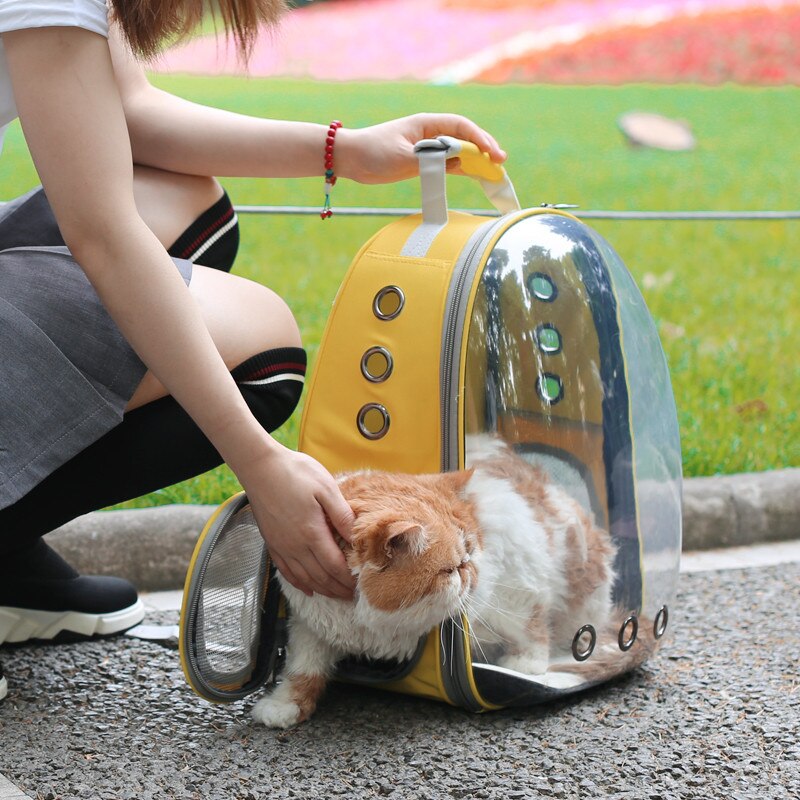 Sac à dos Portable respirant pour chat et chien, Transparent, pour voyage en plein air, pour animaux de compagnie, WJ829