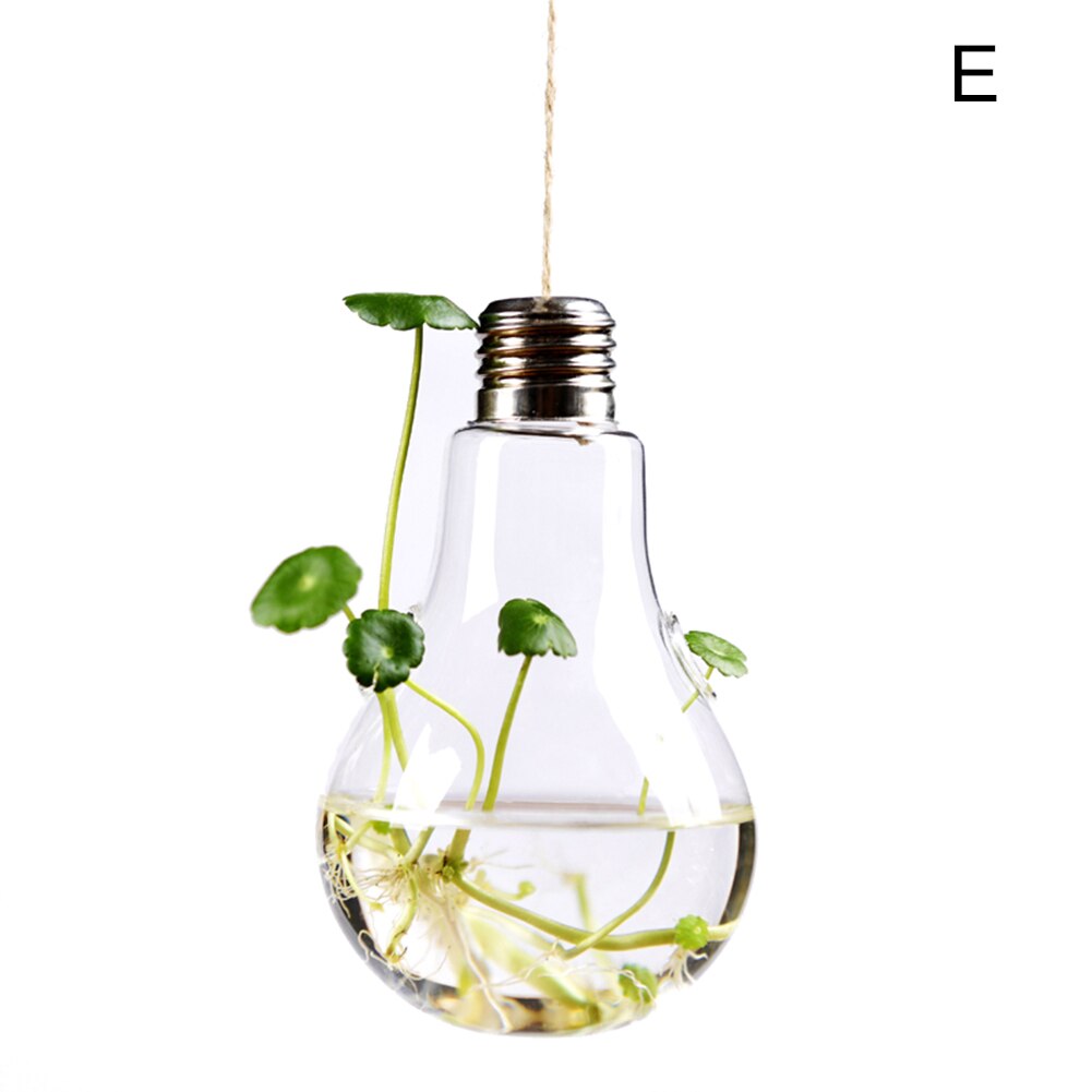 Hanging Transparent Glass Vases Flower Hydroponic Plants Office Home Decoration Terrarium DEC889: E