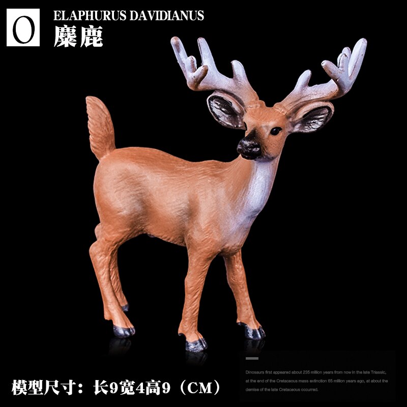 Wild Jungle Zoo Animal Models Collection Model Doll Educational toyWildlife Cognition for children: Sika deer