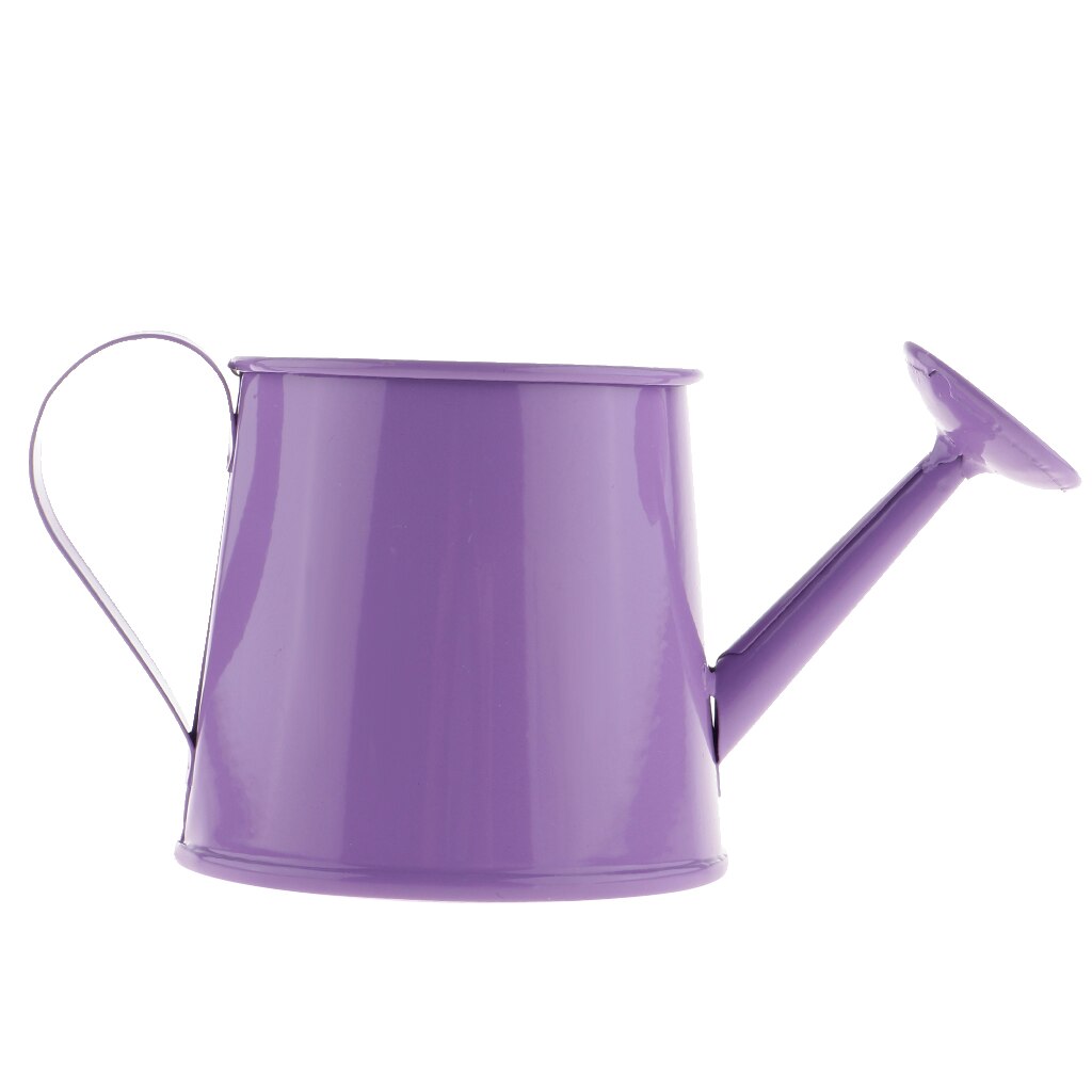 Mini arrosoir en fer en métal, Pot de fleurs en fer, Pot de fleurs de jardin, jardinière de plantes, décoration de la maison: Purple