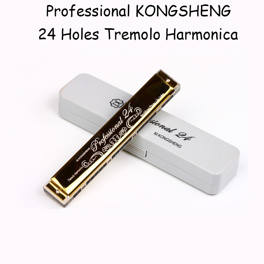 24 Hole Tremolo Harmonica polyphonic Mouth Organ Black Wind Musical Instrument C,D,E,F,G,A,B,#C,#D,#F,#G,#A