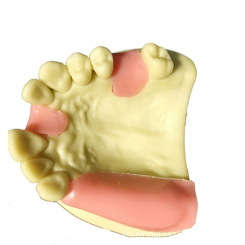 Práctica de sutura gingival suave de 7 tipos, formación Dental, implante de simulación de práctica de implante, modelo de dientes faltantes osteoaxilares