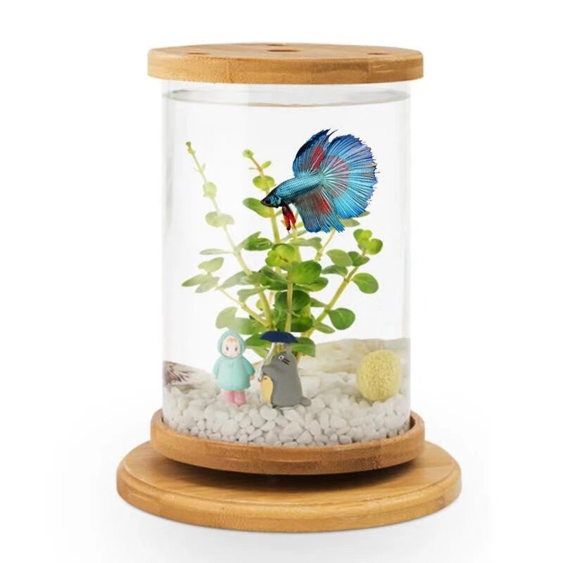 Aquarium ecological ornamental fish tank fighting fish tank micro-view rotating mini fish tank aquarium accessories