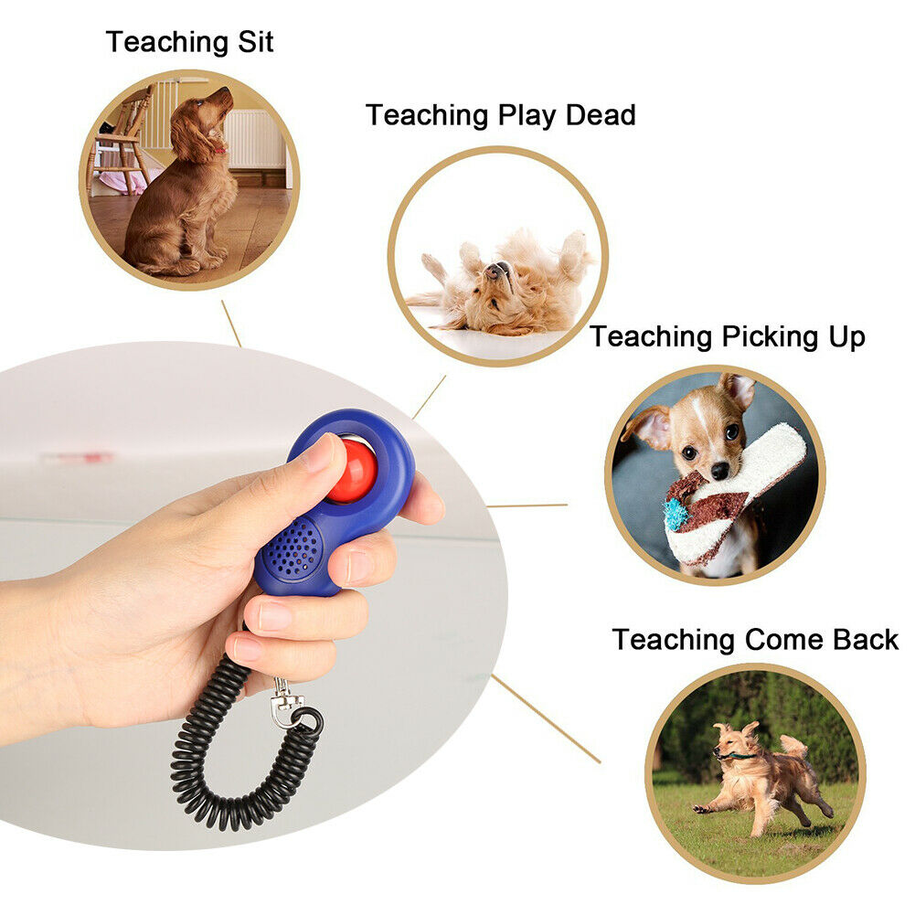 Pet Dog Cat Button Training Clicker Dogs Click Trainer Obedience Aid Wrist Strap Adjustable Sound Key Chain 4 Colors