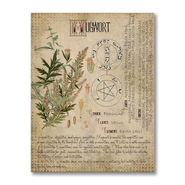 Book of Shadows Poster Pages of Herbs Prints Witchcraft Herbal Grimoire BOS Sheets Magic Painting Herbarium Decoration: White / 42x30cm No Frame