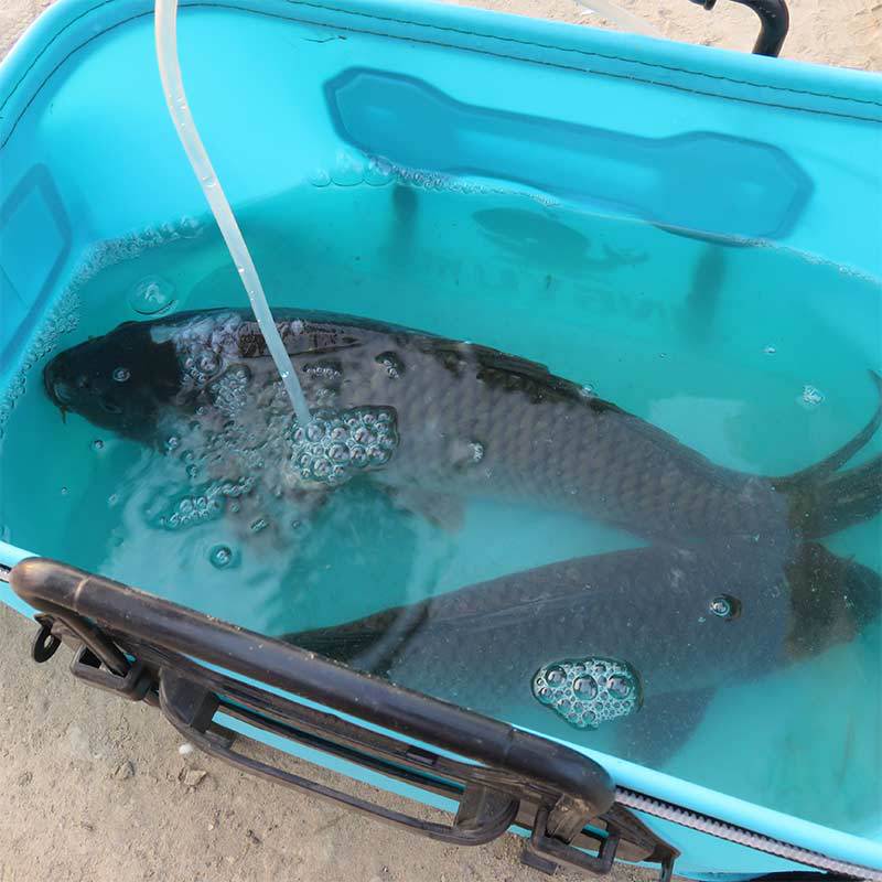 40/45/50cm Portable pliant seau de pêche sacs de pêche poisson porter seau équipement en plein air EVA pêche Camping randonnée seau stockage