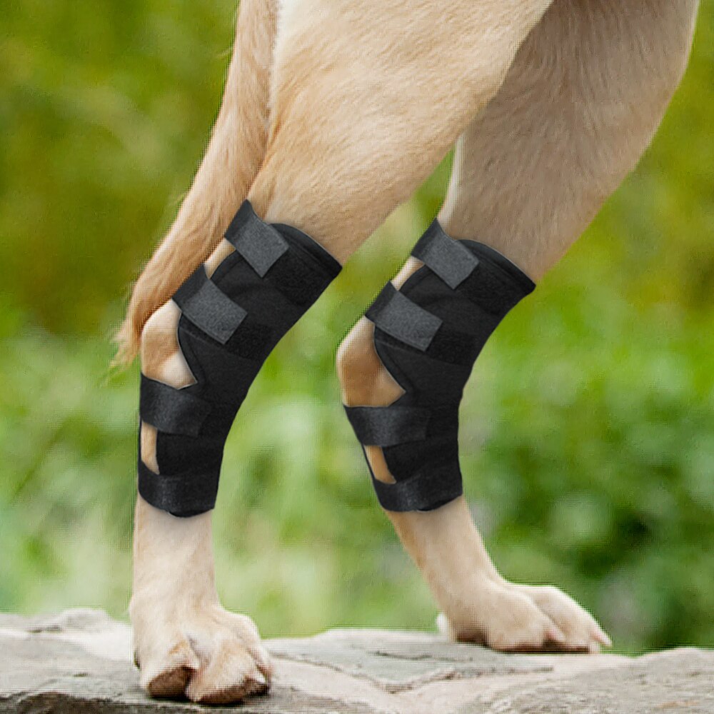 Dog Recovery Sleeve Knee Pad Large Dog Support Ankle Brace Breathable Hind Leg Hock Joint Wrap Injury Recover Dog Legs Protector