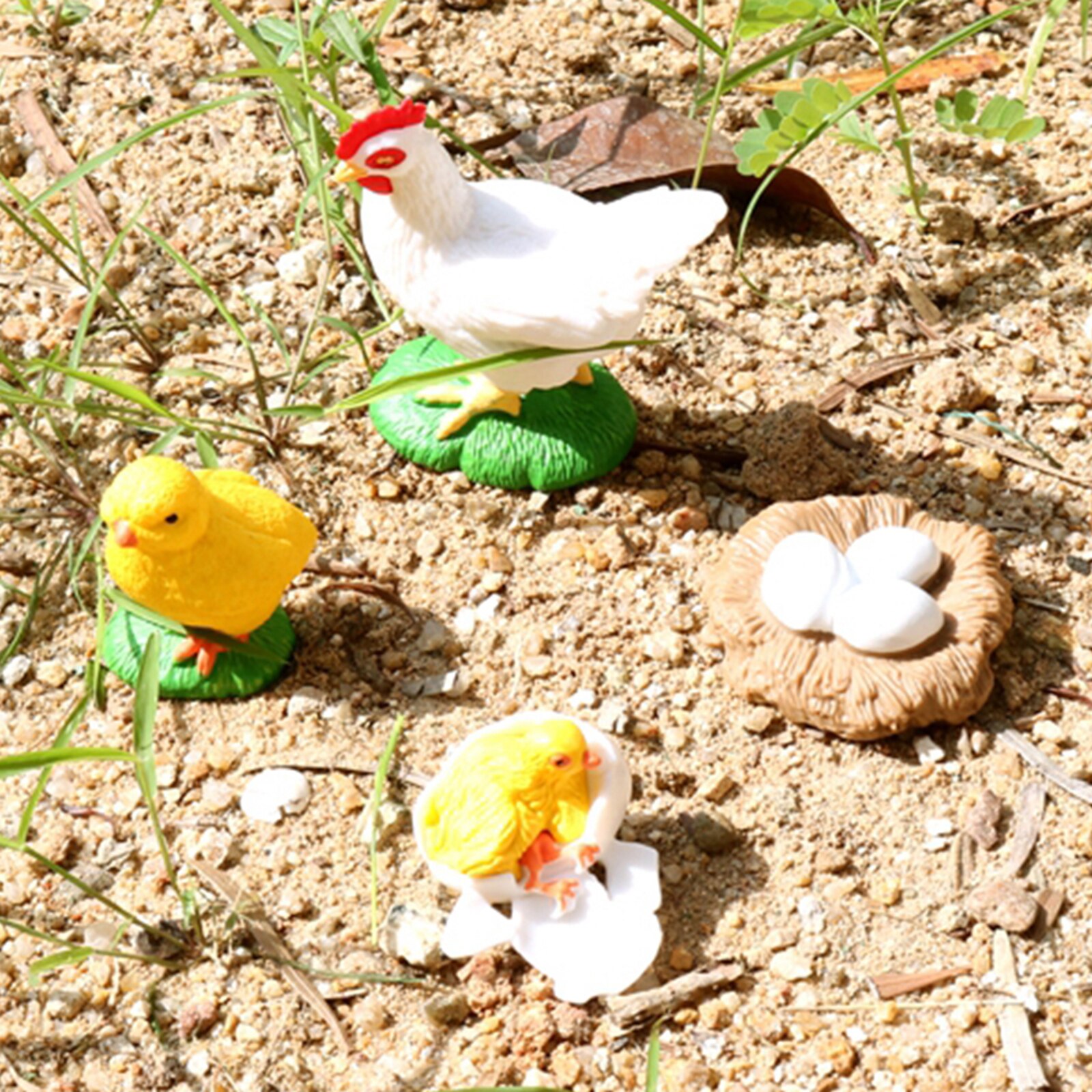 Insect Hen Chick Lore Animal Life Cycle - 4 Pcs Insect Figure Shows Life of Lady Bug