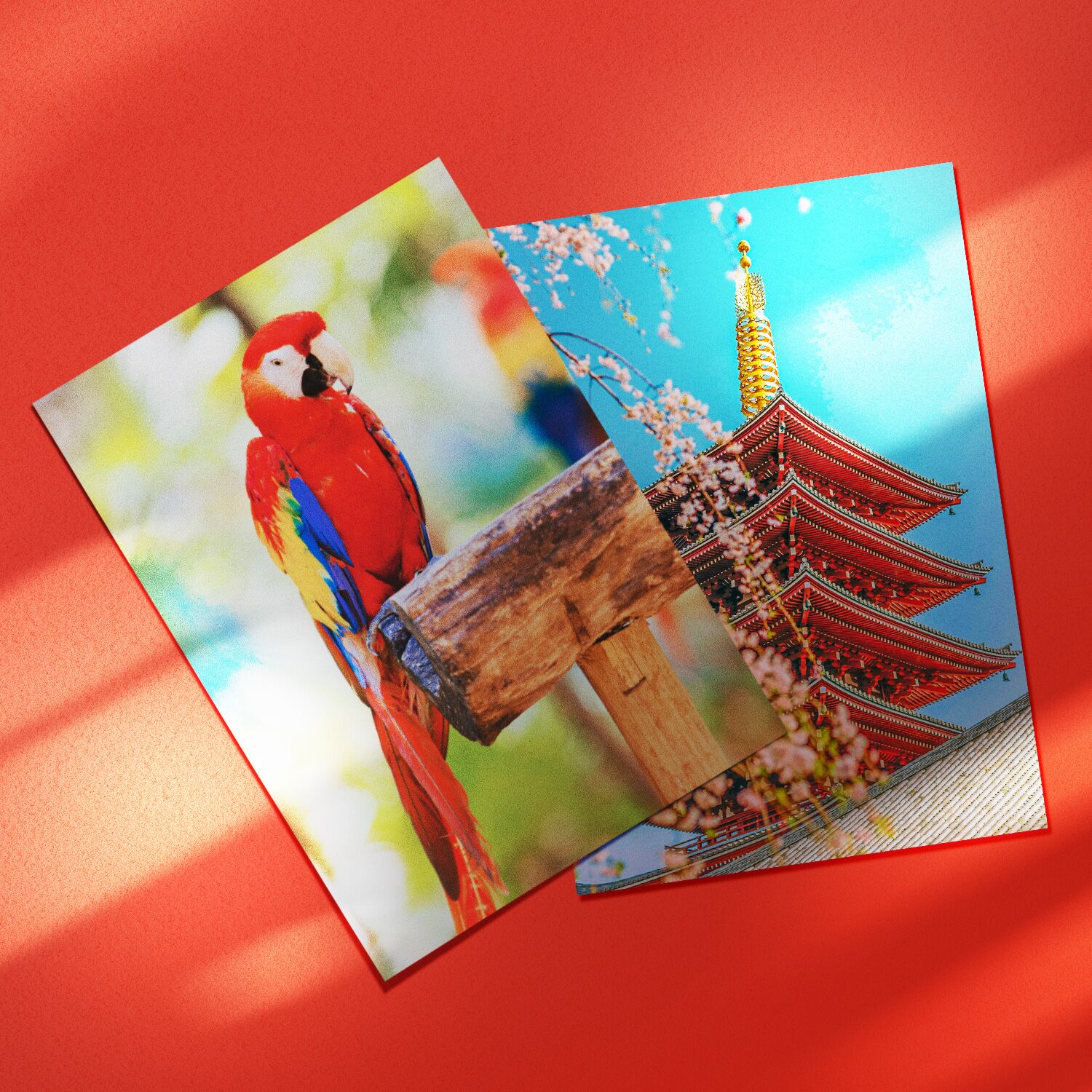 250g RC Gloosy Photo Paper 4R 5R For end Photography inkjet printer pigment ink