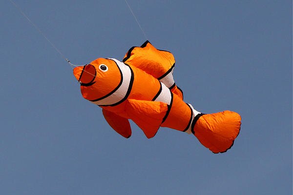 Paño de nailon de para cometas de piloto y Festival de cometa voladora, calcetín de viento Power Fish de 2,45 M,