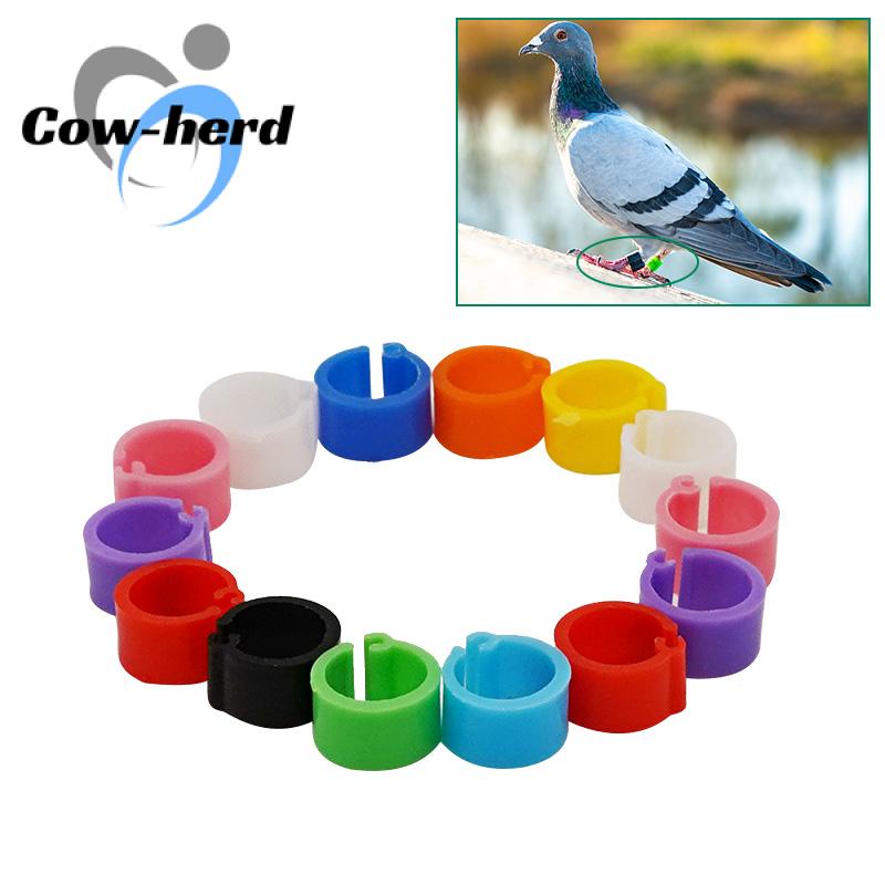 100Pcs 11Colors Birds Feet Rings Inner Diameter 8Mm Width 7Mm Plastic Clip Ring Pigeon Dove Quail Foot Ring Farm Animal Carrier