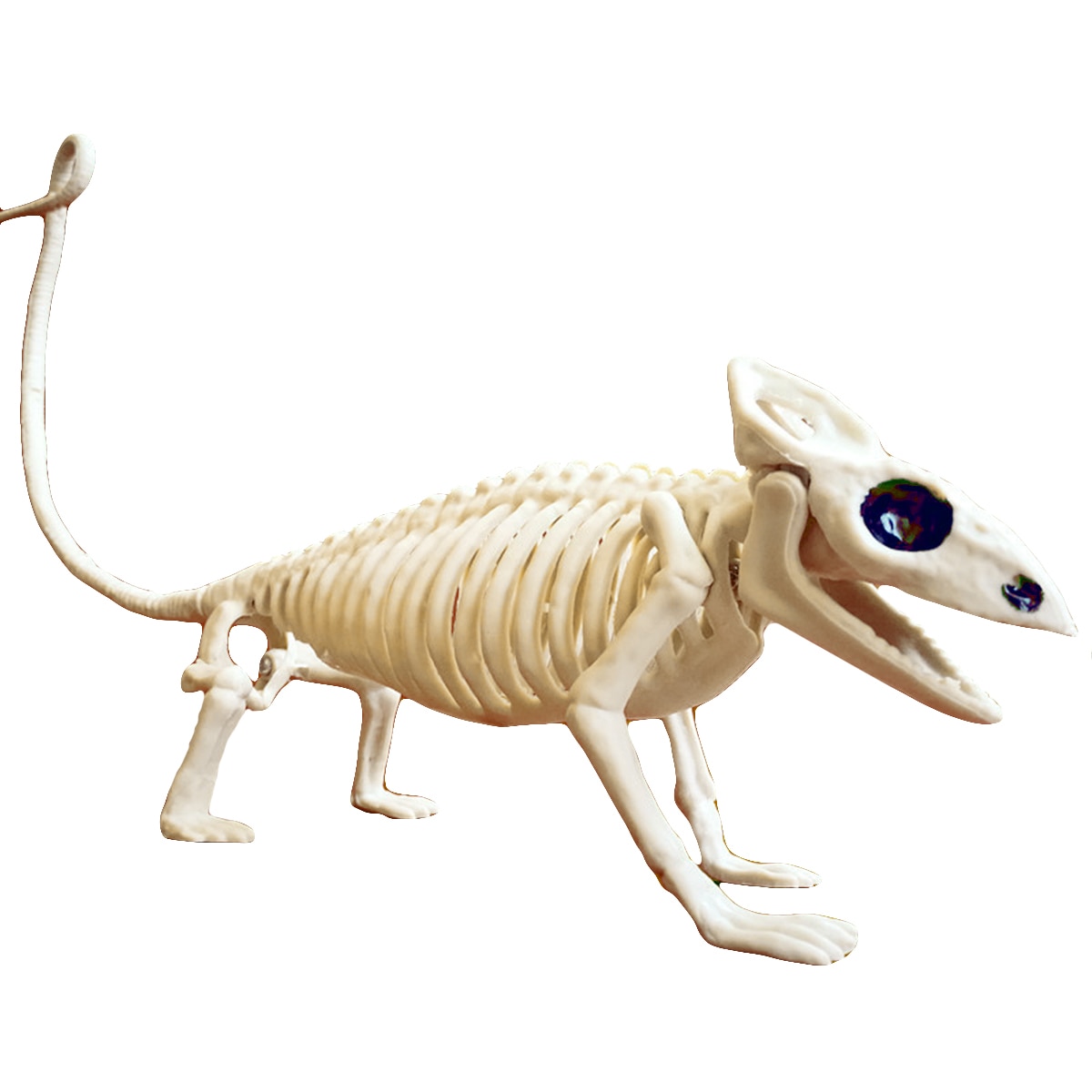 Bat/Spider Skelet Schedel Dier Skelet Model Bat Bones Griezelige Halloween Party Decoratie Fun Bone Skelet: Lizard