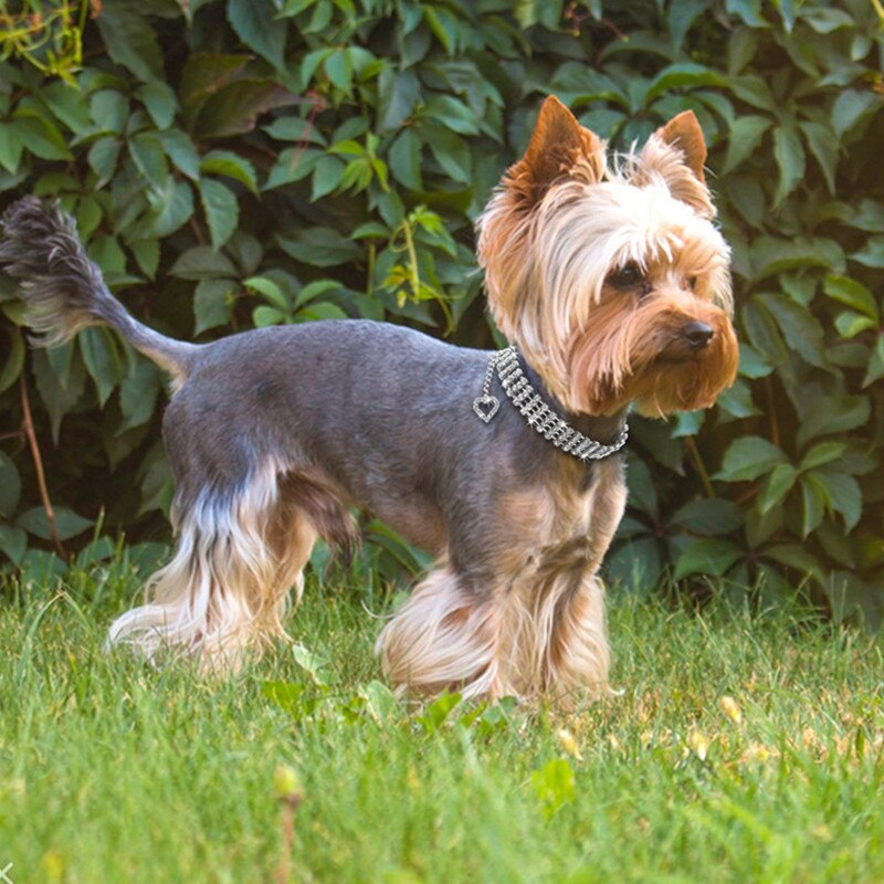 Misterolina 4 rader strass halsband hundhalsband halsband smycken halsband hjärta hänge valp katt fest bröllop tillbehör