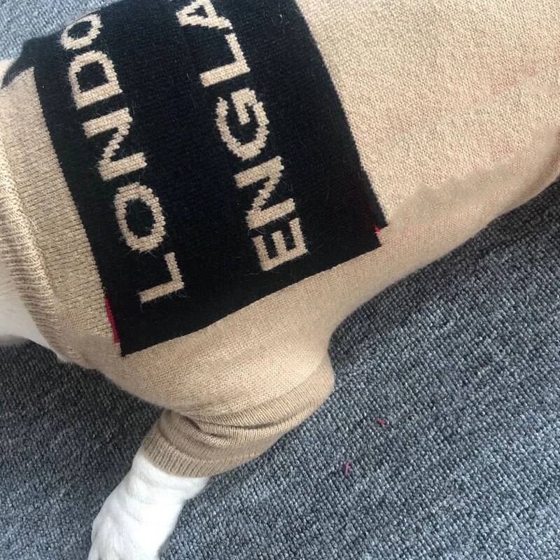 Bouledogue français hiver pull londres angleterre vêtements luxe chien manteau Teddy Chihuahua carlin chiot pull
