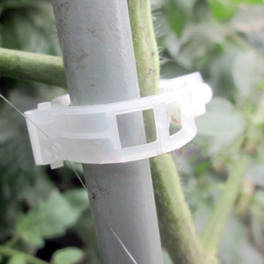 Plastic Tuin Clips Herbruikbare Plant Ondersteuning Voor Wijnstok Groenten Tuin Groeien