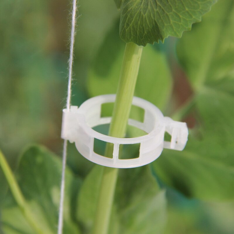 50/100 stk gjenbrukbare plast gjerder espalier porter planter hengende vintreet plante støtte klips hage drivhus hage ornament: 100 stk