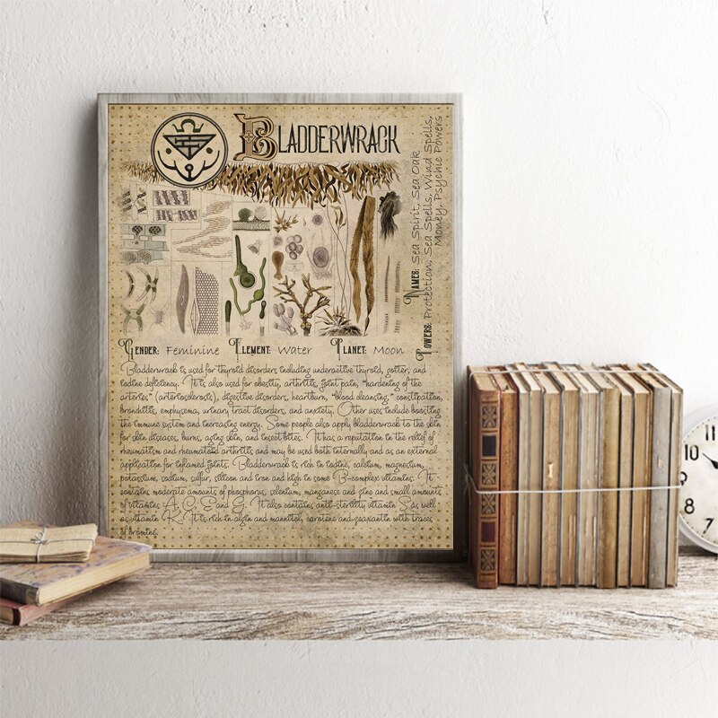 Book of Shadows Poster Pages of Herbs Prints Witchcraft Herbal Grimoire BOS Sheets Magic Painting Herbarium Decoration