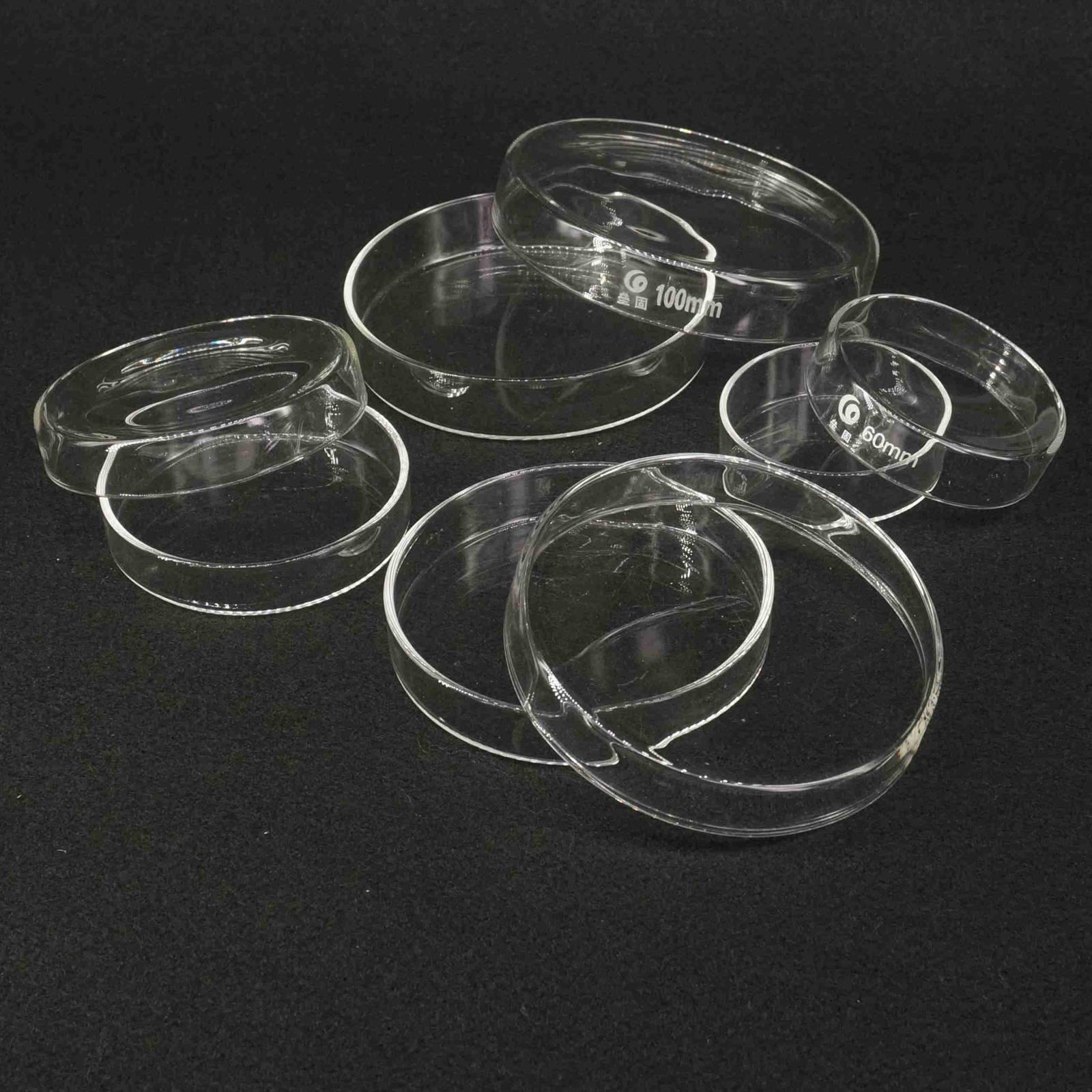 Borosilikatglas petriskulturskål 150/180/200mm med låg til laboratoriebakteriel gær