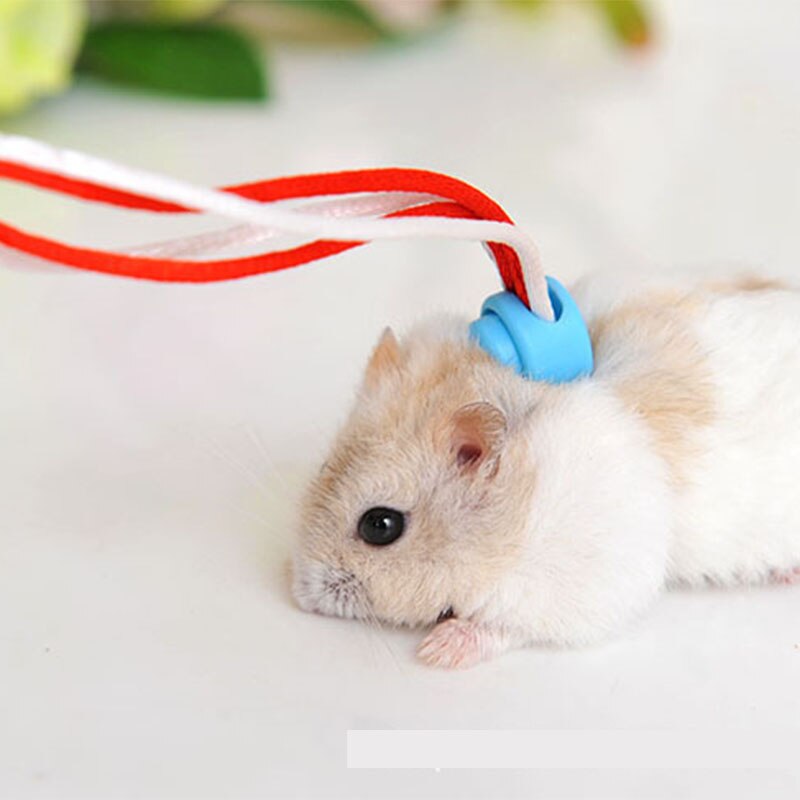 Harnais en coton avec laisse pour Hamster, collier de plomb pour Rat, souris, fournitures pour animaux de compagnie